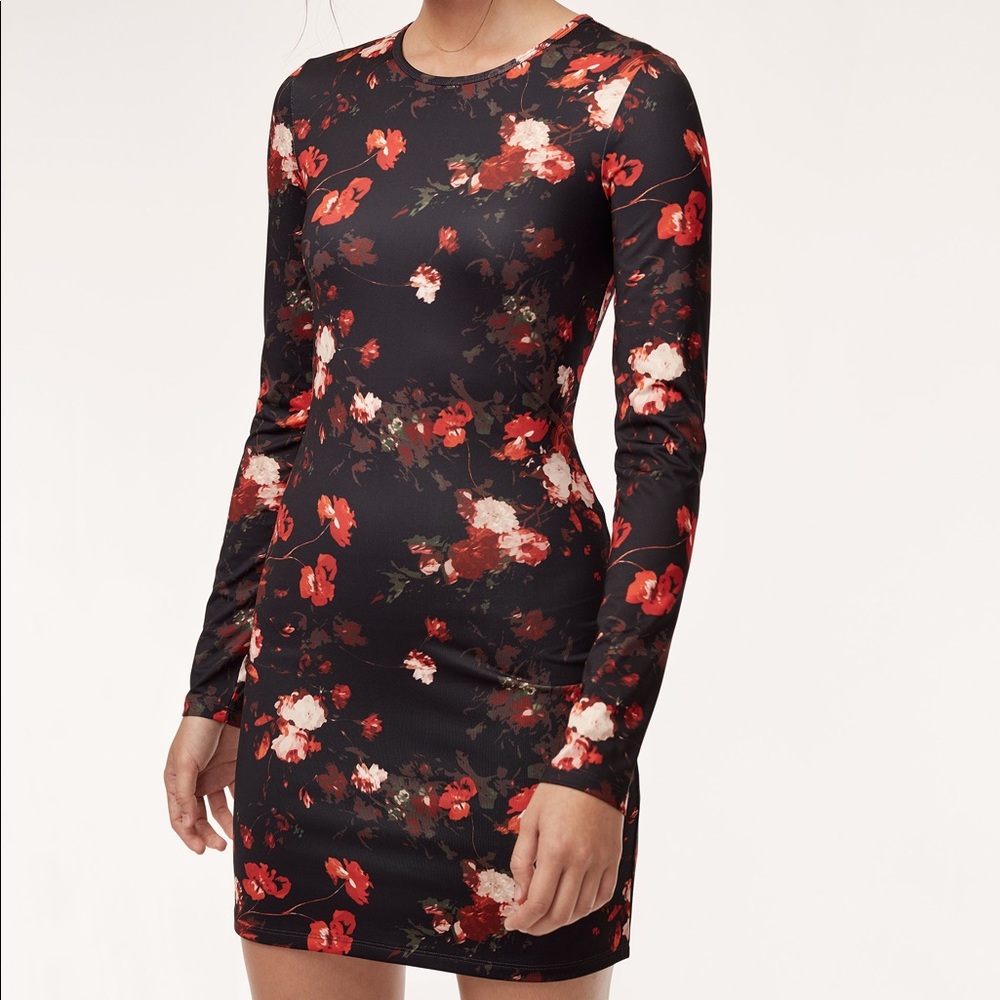 Aritzia Wilfred Fleur Dress